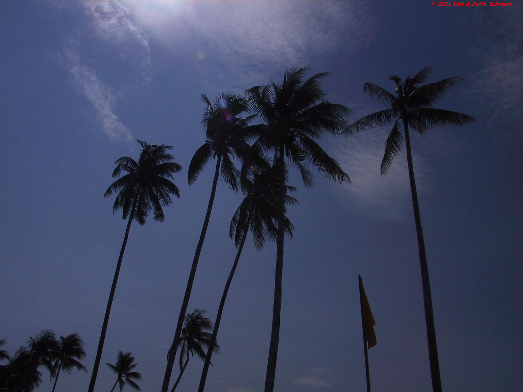 Juni 2001 - Indonesien - Insel Bintan